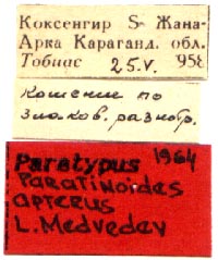 Paratype labels, color image