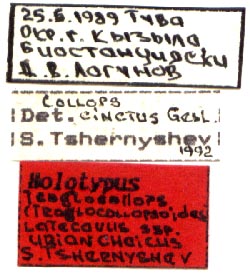 Holotype labels, color image