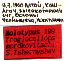 Holotype labels, color image