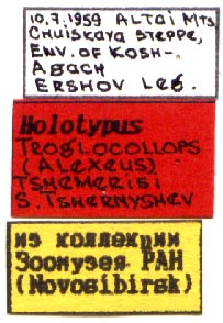 Holotype labels, color image