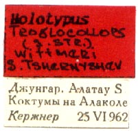 Holotype labels, color image