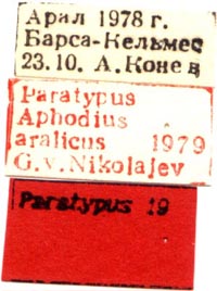 Paratype labels, color image