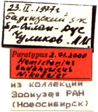 Paratype labels, color image