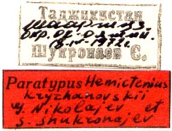 Paratype labels, color image