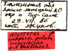 Holotype labels, color image