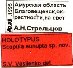 Holotype labels, color image