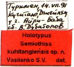 Holotype labels, color image