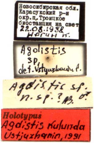 Holotype labels, color image