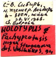 Holotype labels, color image