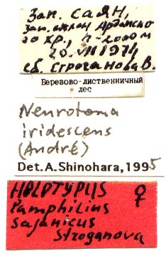 Holotype labels, color image