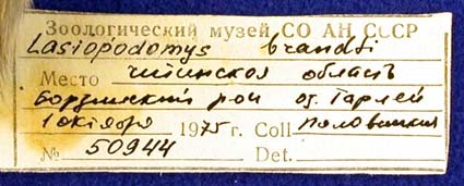 Label, color image