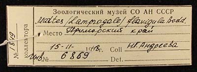 Label, color image