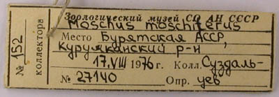 Label, color image