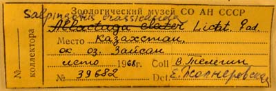 Label, color image