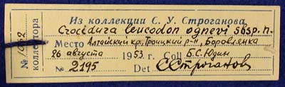 Paratype label, color image