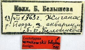 Lectotype labels, color image