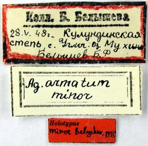 Holotype labels, color image