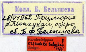 Paralectotype labels, color image