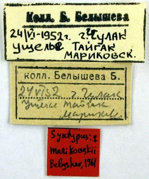 Syntype labels, color image