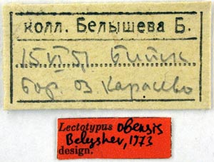 Lectotype labels, color image