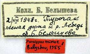 Paratype labels, color image