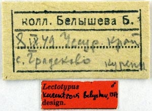 Lectotype labels, color image