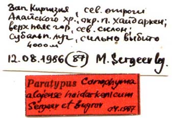 Paratype labels, color image