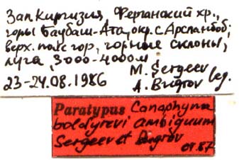 Paratype labels, color image