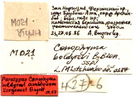 Paratype labels, color image