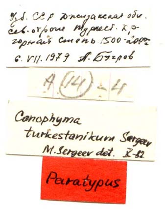 Paratype labels, color image