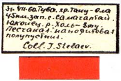 Eremippus mistshenkoi, paratype labels, color image