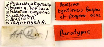 Paratype labels, color image