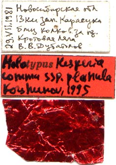 Holotype labels, color image