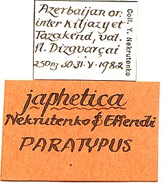 Paratype labels, color image