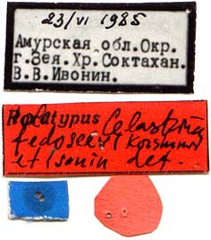 Holotype labels, color image