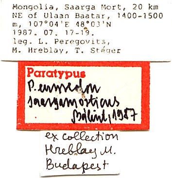 Paratype labels, color image