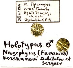 Holotype labels, color image