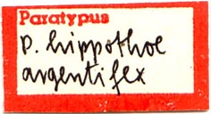 Paratype label, color image