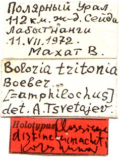 Holotype labels, color image