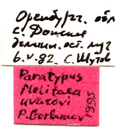 Paratype labels, color image