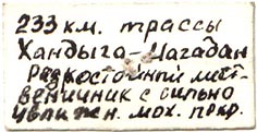 Paratype label, color image