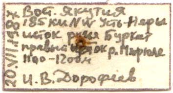 Holotype label, color image