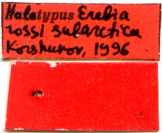 Holotype labels, color image