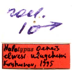 Holotype labels, color image