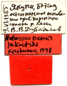 Holotype labels, color image