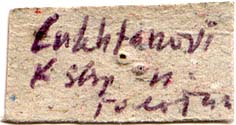 Holotype label, color image