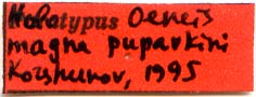 Holotype label, color image