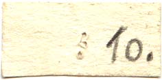 Holotype label, color image