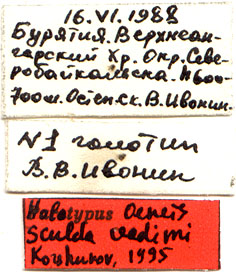 Holotype labels, color image