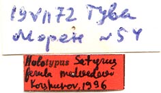 Holotype labels, color image